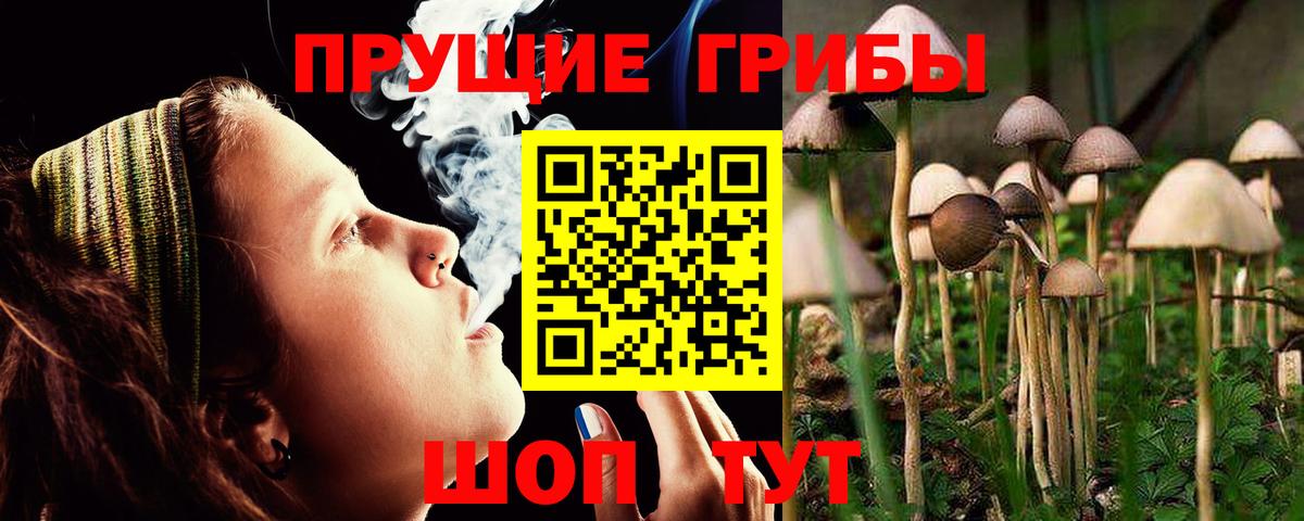 Псилоцибиновые грибы Psilocybine cubensis  Вход с VPN  Галлюциногенные грибы MAGIC MUSHROOMS  Воскресенск 